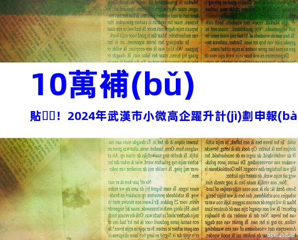 10萬補(bǔ)貼！2024年武漢市小微高企躍升計(jì)劃申報(bào)對象、程序